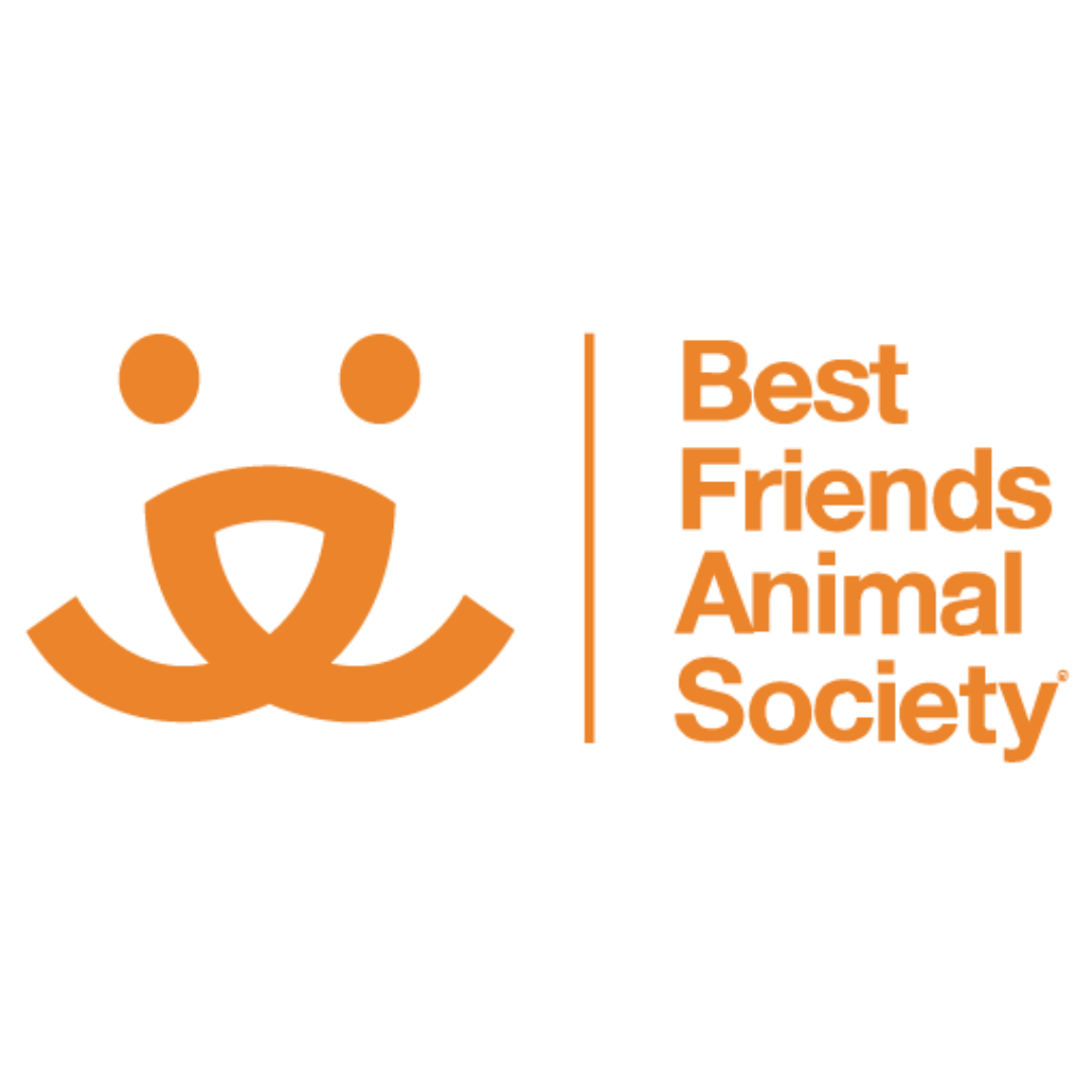 2025 Best Friends